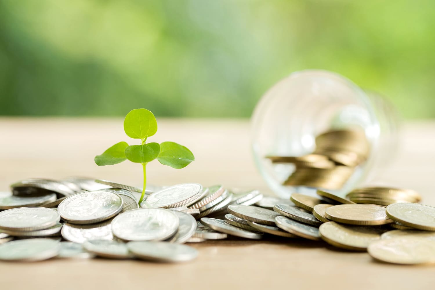 Le taux du livret jeune que fautil savoir