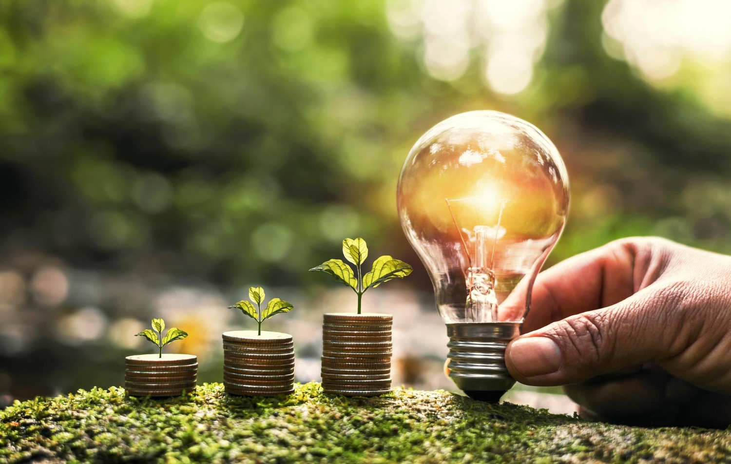 La carte sociétaire chez Crédit Agricole tout savoir